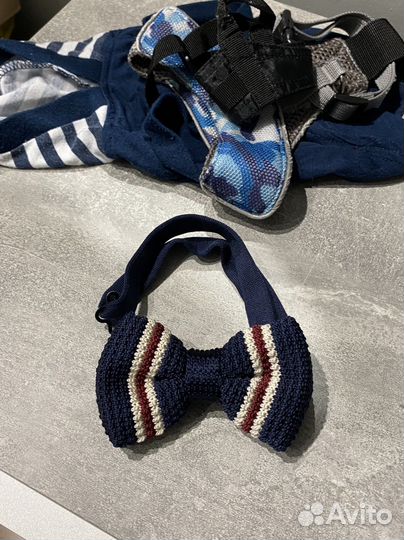 Бабочка и кофточка для собак