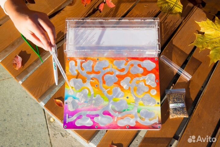 Муравьиная ферма / Формикарий