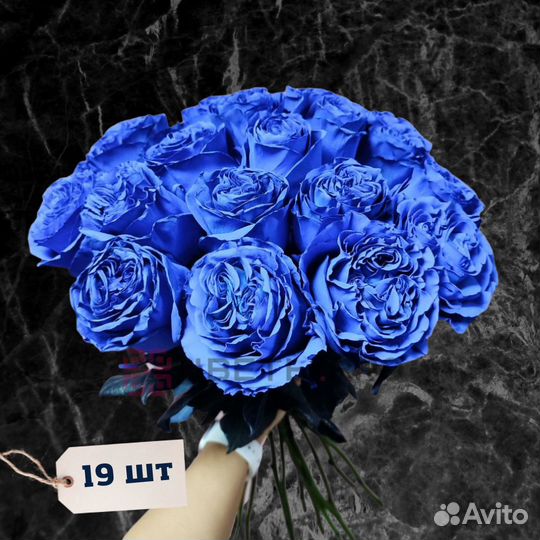 Букет синих роз, Эквадор, 60см 85 шт