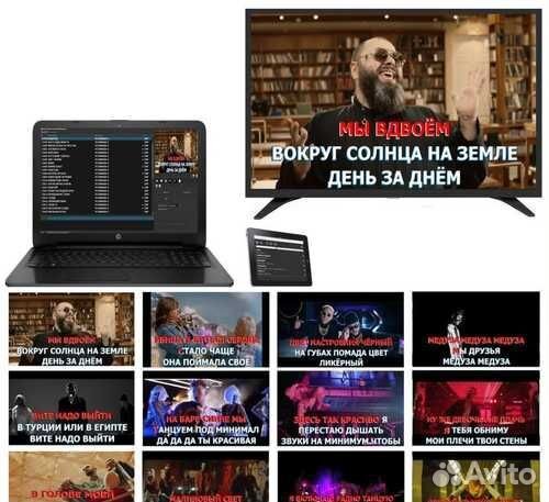 Караоке профессиональная