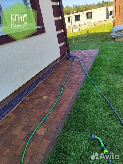 Рулонный газон