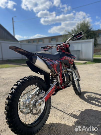 BSE Z10 2023