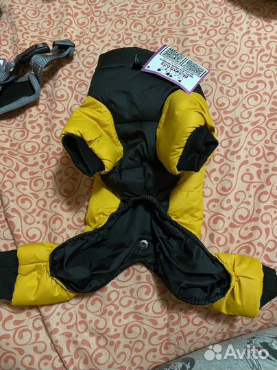 Комбинезон и шлейка