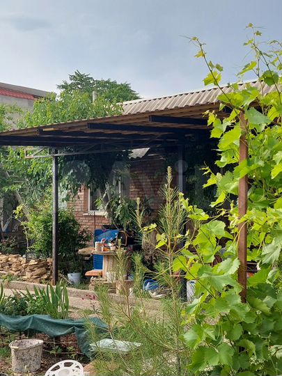 Дом 43 м² на участке 5,5 сот.