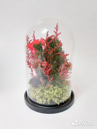 Вечная роза в колбе