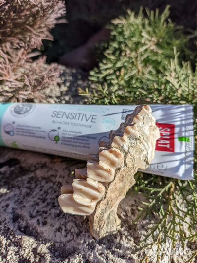 Подарок стоматологу