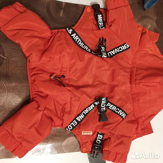 Комбинезон демисезонный на собачку