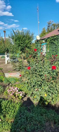 Дом 56,5 м² на участке 3 сот.