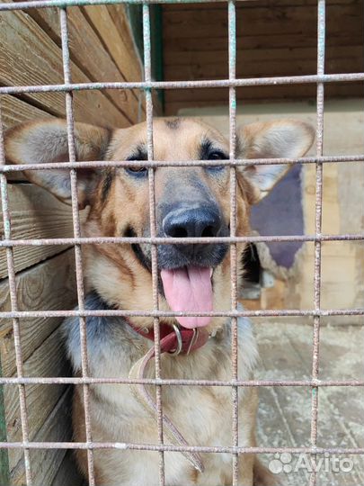 Забава хочет на диванчик