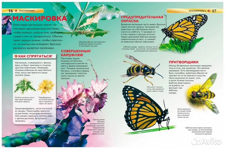Книга 17334 Насекомые. Детская энциклопедия