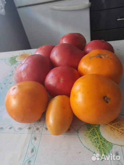 Помидоры домашние