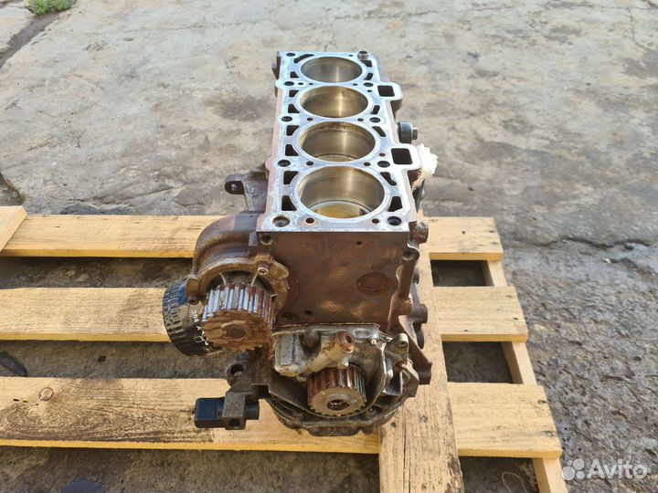 Двигатель X RAY, renault