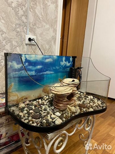 Аквариум, террариум для черепахи