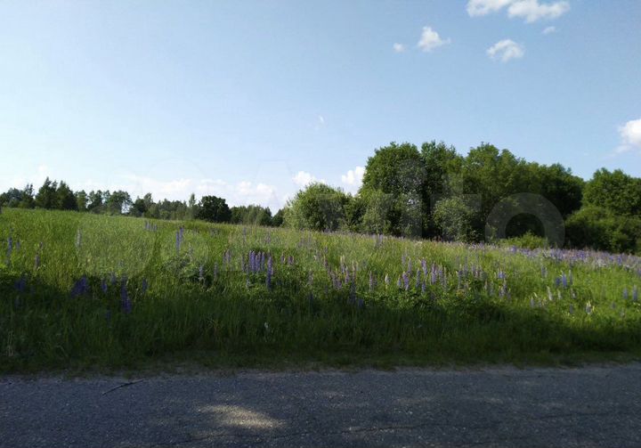 Участок 12,4 сот. (СНТ, ДНП)