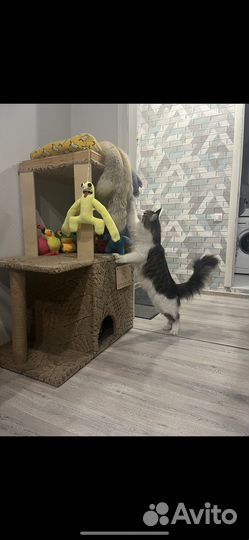 Домик для кота с когтеточкой