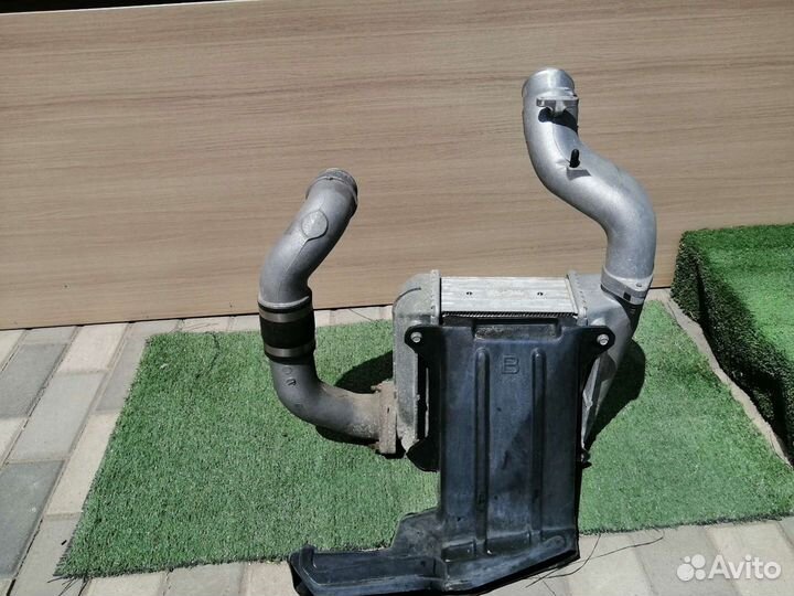 Интеркуллер Nissan Y34