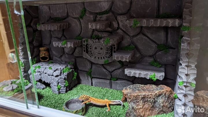 Оформление террариума «под ключ»