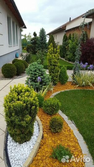 Щепа декоративная