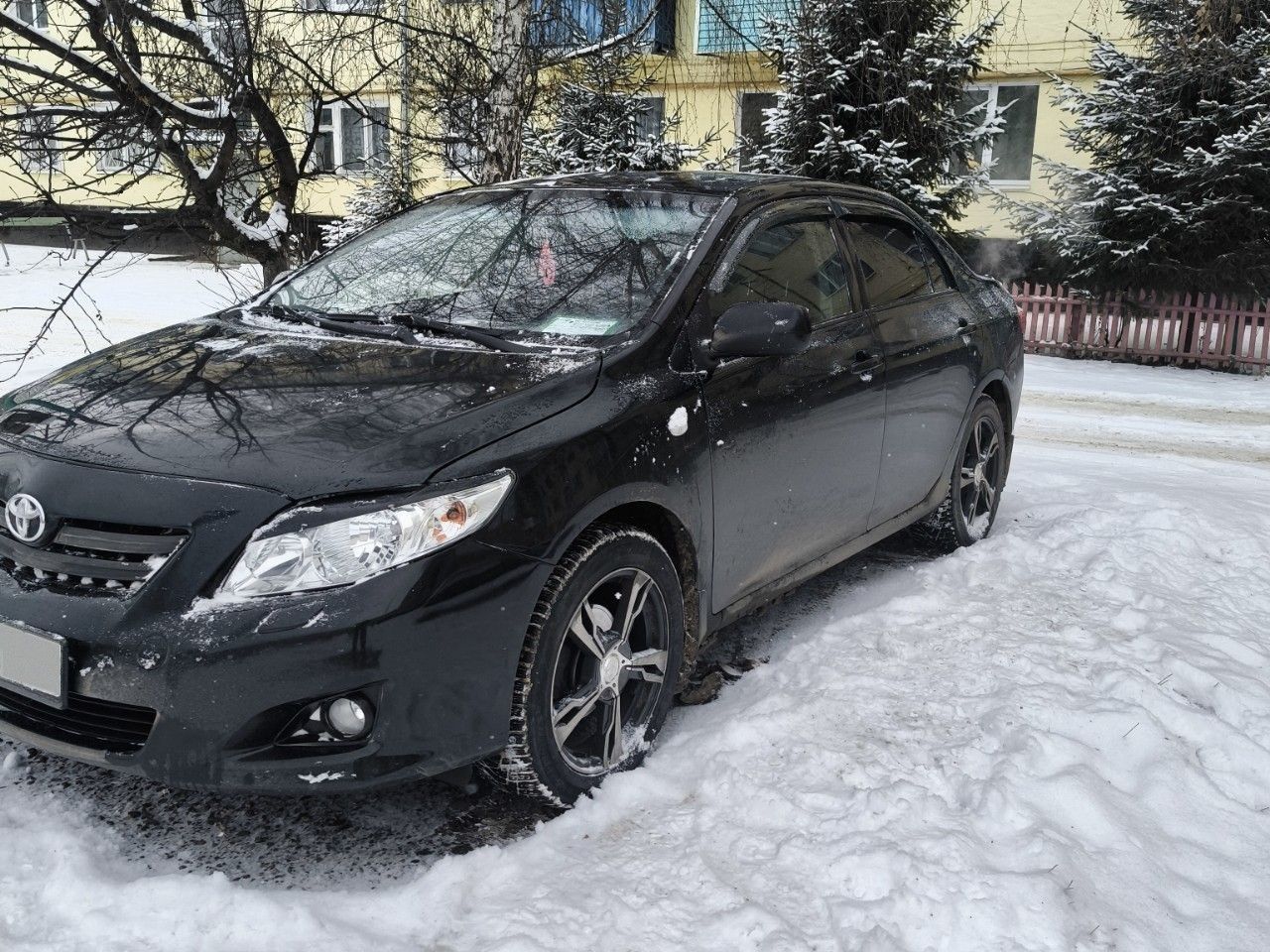 Toyota Corolla: фото владельца