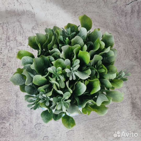 Искусственные растения с напылением