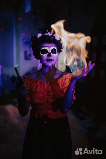 Аниматоры, Организация мероприятия, шоу