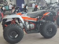 Kayo au110 bull
