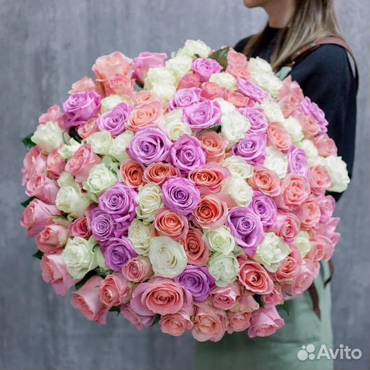 Роза эквадор 51, 101, 151