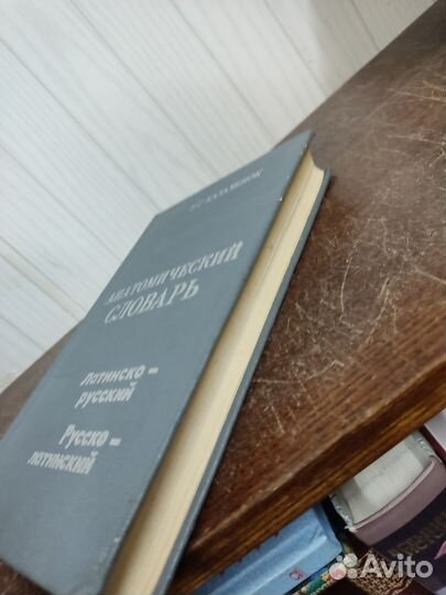 Анатомический Словарь. Т. Казаченок