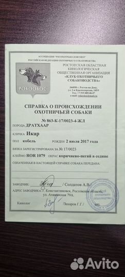 Дратхаар для вязки бесплатно