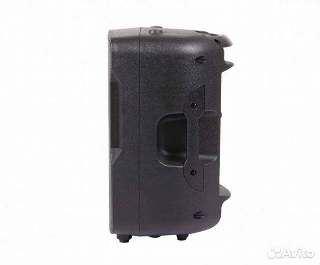 Акустическая система BLG BP13-08A10