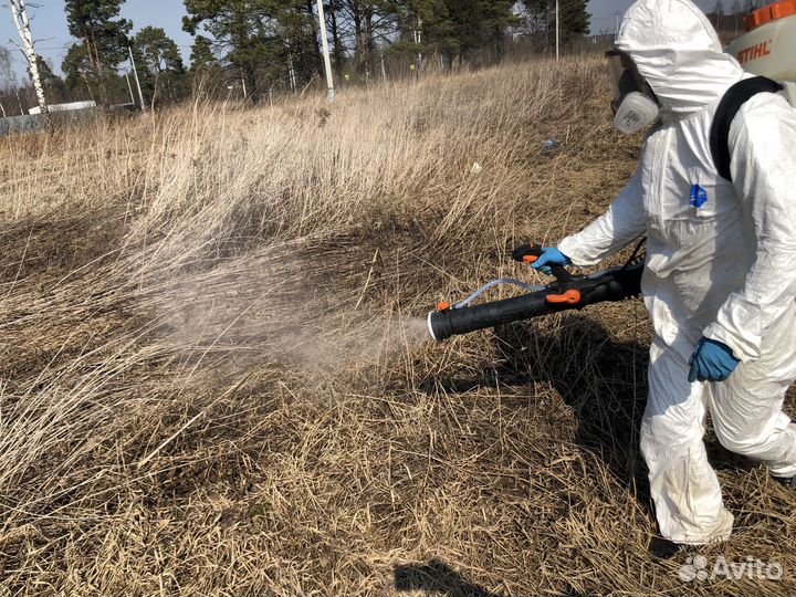 Уничтожение клопов травля тараканов дезинфекция