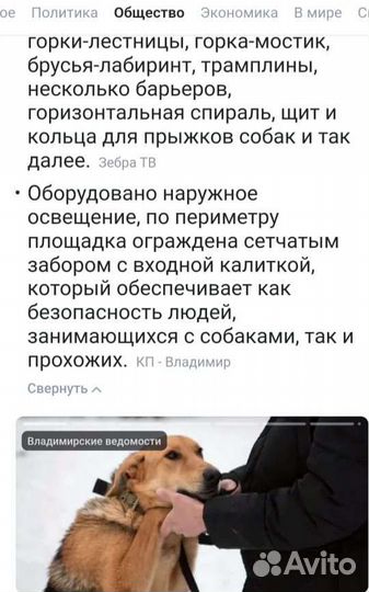 Тимошке нужен дом