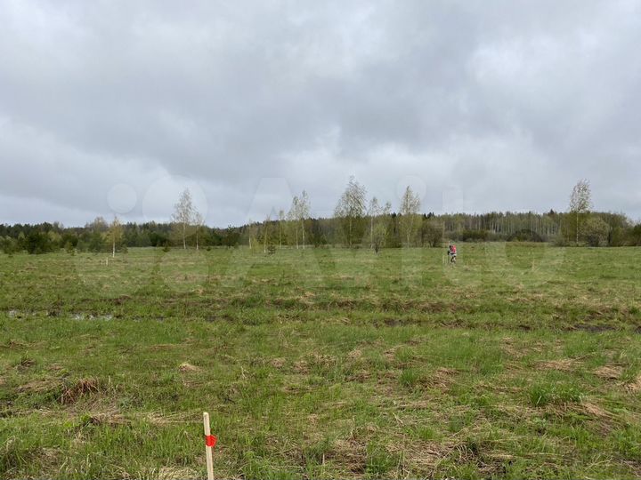 Участок 10 сот. (ИЖС)