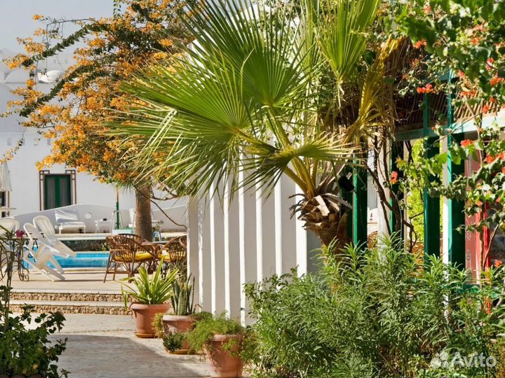 Турпутевка в Sharm El-Sheikh 6 ночей