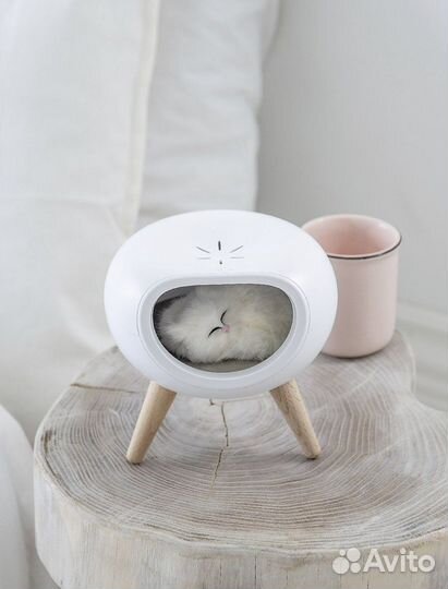Продам игрушку котик в домике. Новый