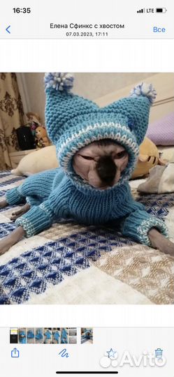 Вязаная одежда для собак и кошек