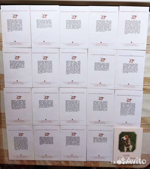 Наборы открыток с породами собак