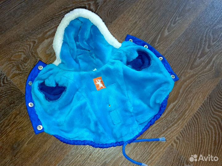 Одежда для собак мелких пород