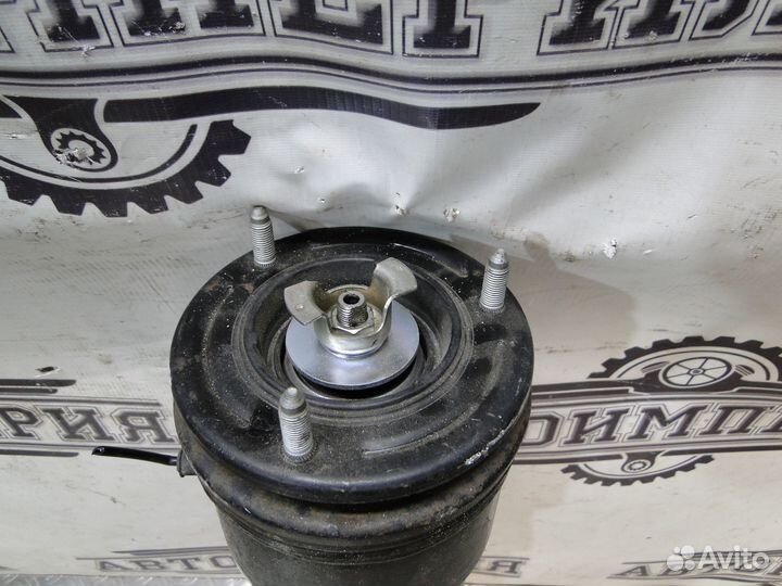 Пневмостойка задняя Lexus LS460 2008 4.6