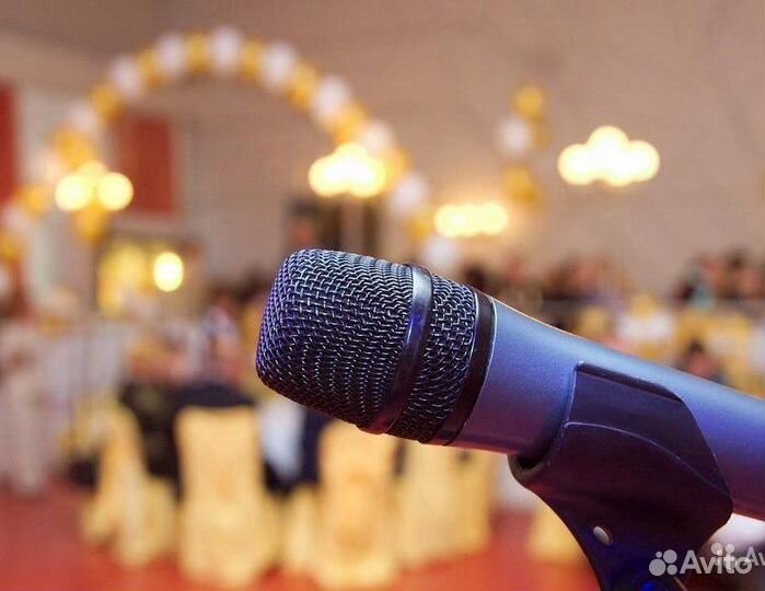 Микрофон для выступлений