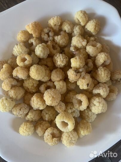 Малина саженцы желтая/красная