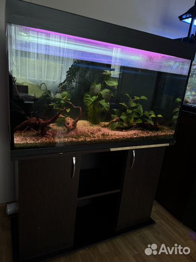 Аквариум с тумбой