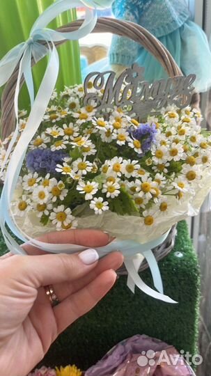 Ромашка для любимых букет и корзины живые
