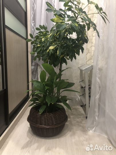 Кашпо из искусственного ротанга