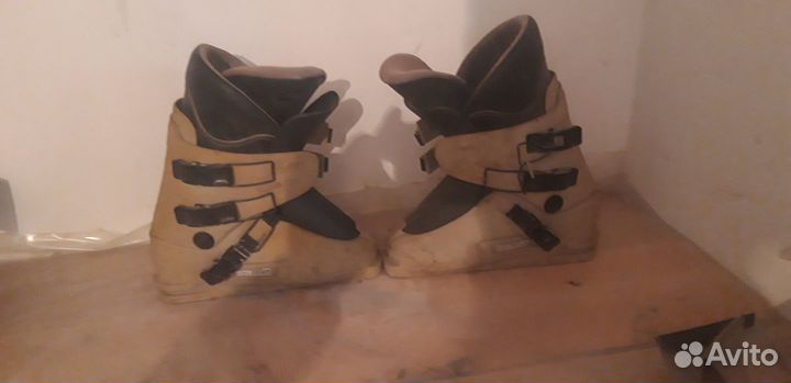Ботинки для горных лыж