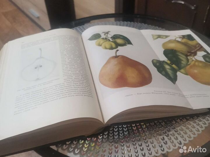 Мичурин И. В. Избранные сочинения 1948 г