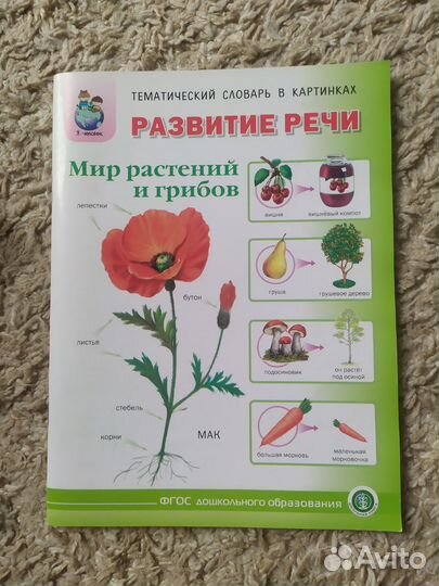 Детские книги часть 2