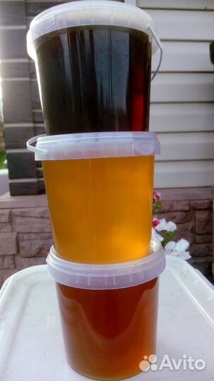 Мед Алтайский