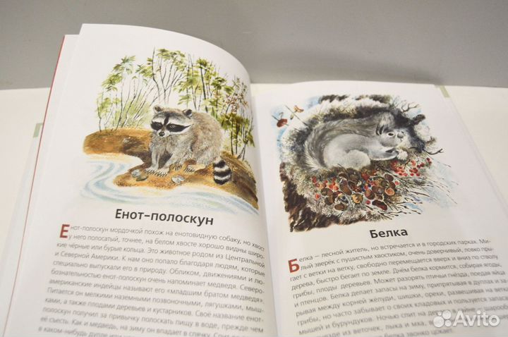 В. Храбрый Животные нашей страны