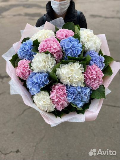 Голландские гортензии / Доставка цветов